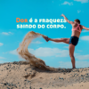 100 canva landingpages